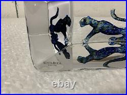 Kosta Boda Bertil Vallien Big Cat Art Glass Sculpture Viewpoints Collection-RARE