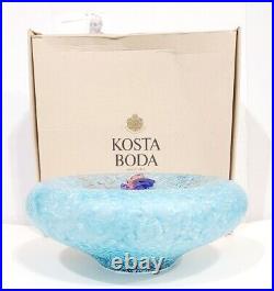 Kosta Boda Reef Series Glass 7070202 by Kjell Engman With Box & Original Packaging