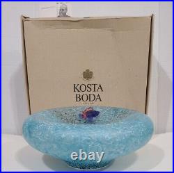 Kosta Boda Reef Series Glass 7070202 by Kjell Engman With Box & Original Packaging