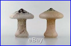 Monica Backström for Kosta Boda. Five mushrooms in art glass. 1980's