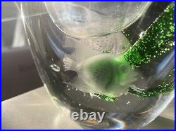 RARE Kosta Boda Crystal glass Fish Vase Vicke Lindstrand Aquarium